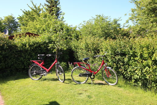 Garten mit Velo Fahrräder